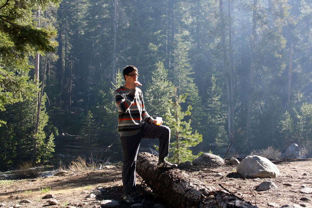 Foto del Camping de Sequoia