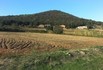 canet d'adri llemena