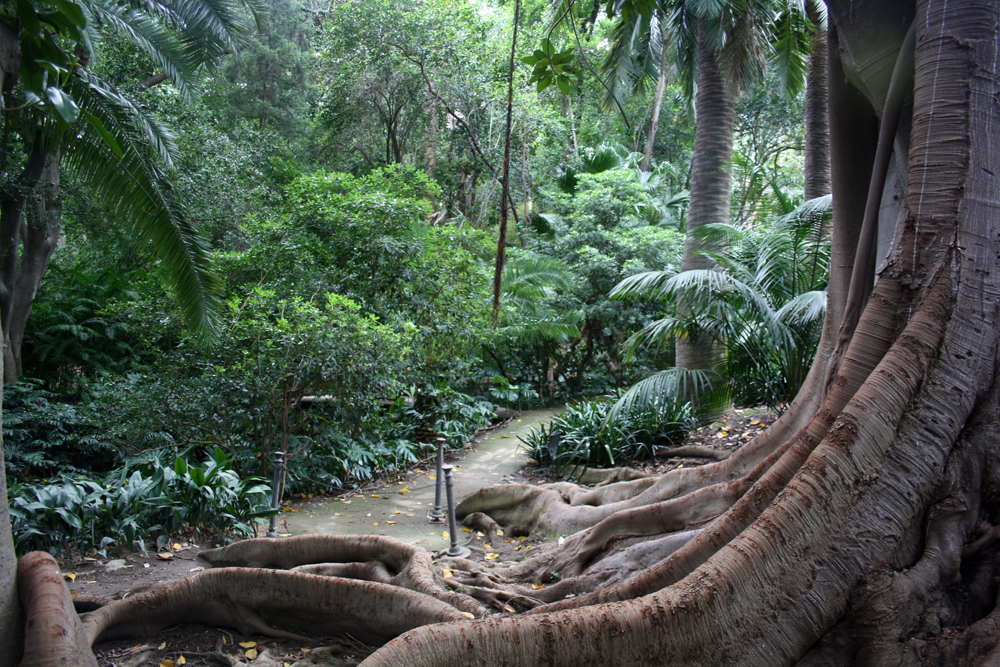 jardin botanico historico la concepcion malaga