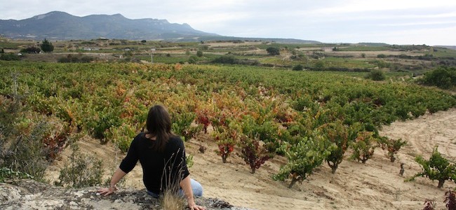 rioja alavesa