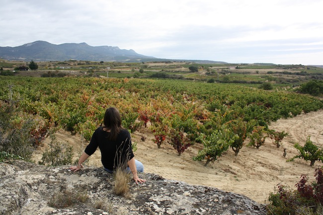 rioja alavesa