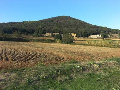 canet d'adri llemena