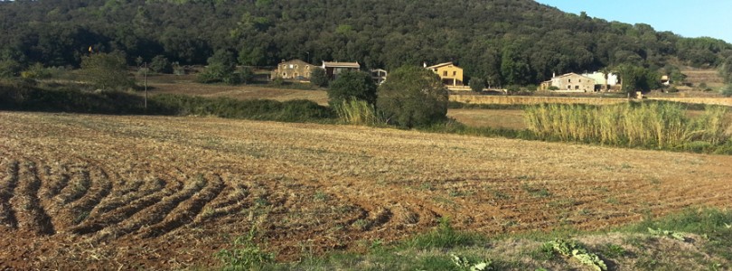 canet d'adri llemena