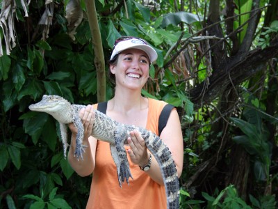 caiman everglades