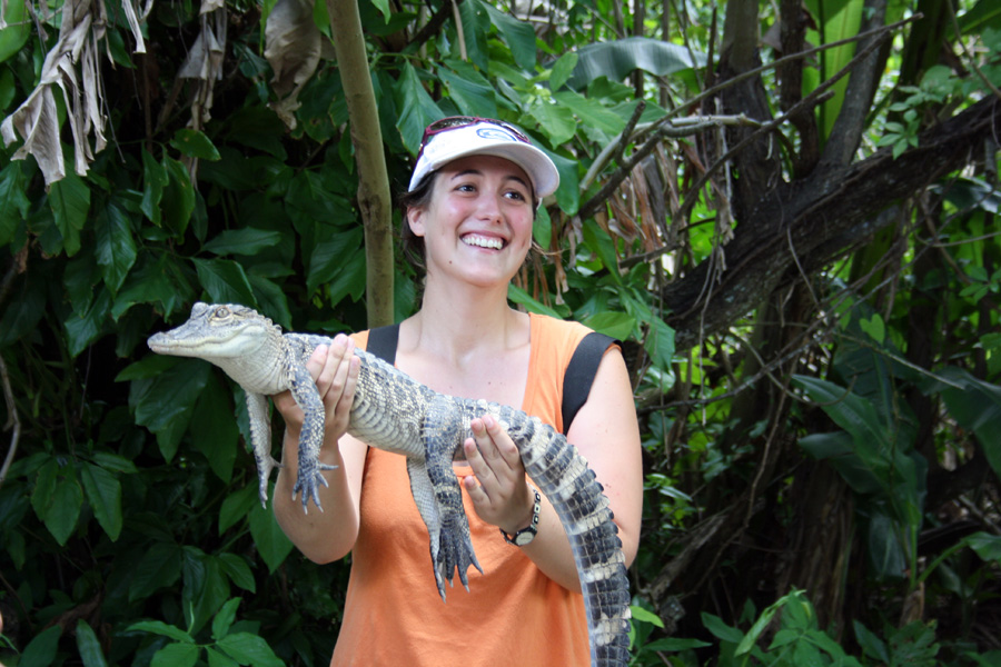 caiman everglades