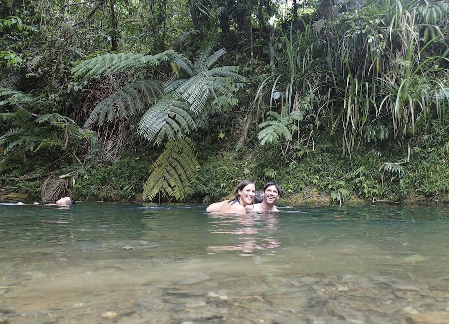 Daintree forest