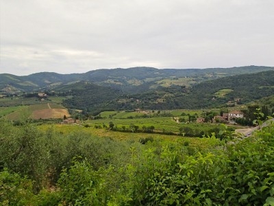 Chianti Toscana