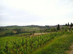 Chianti Toscana
