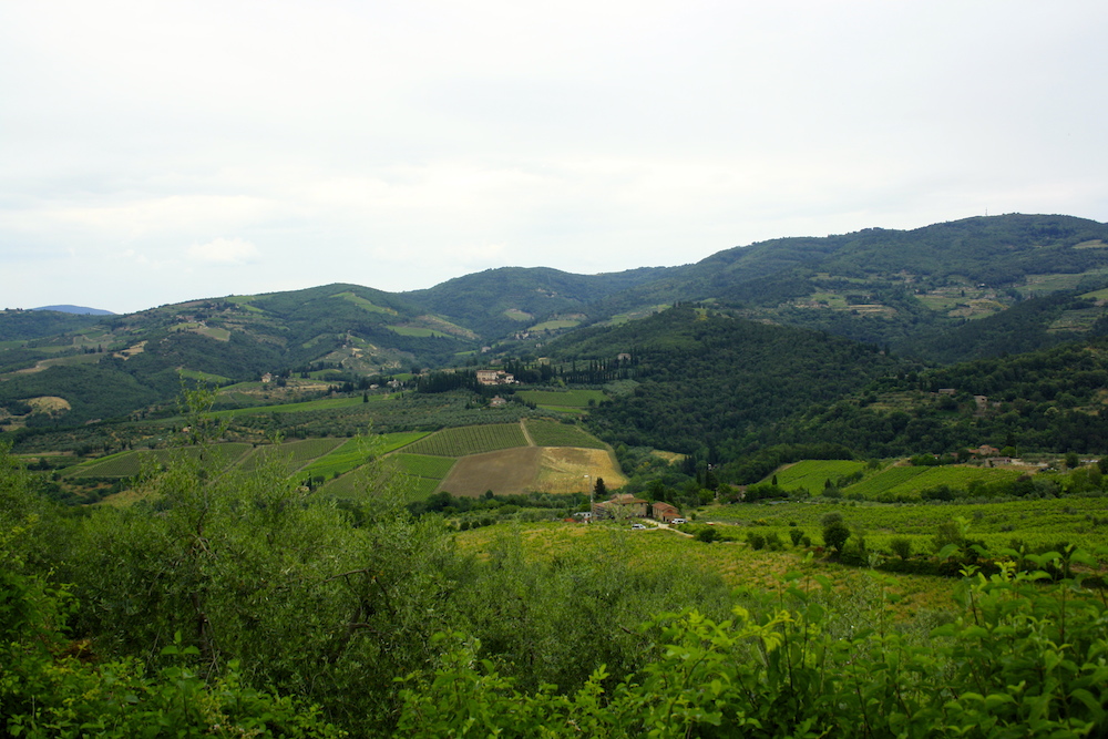 Chianti